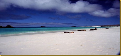 Foto Galapagos Spiaggia 3 Foto Galapagos Spiaggia 3
