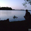 dsc02955.jpg