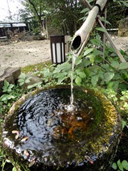 DSC00425 DSC00425
