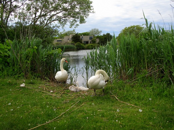IMG_0805 IMG_0805