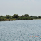 DSCN9479.JPG