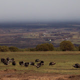 Farm Tour 2007