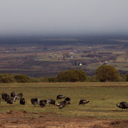 Farm Tour 2007