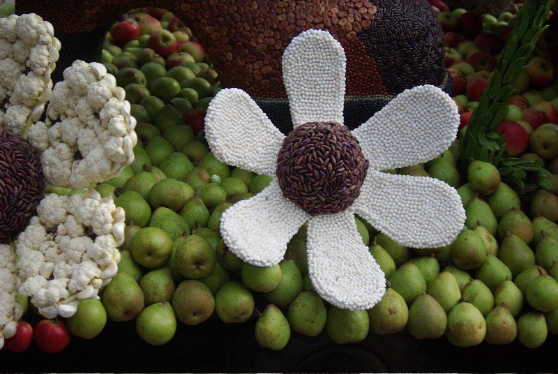 Image Dimension: 512x344 :: Everything made up of Fruits and Vegetables Everything made up of Fruits and Vegetables