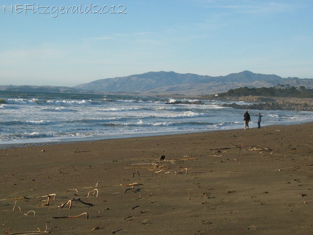 [122_2277SearchingForMoonstones%2520%255B13%255D.jpg]