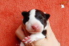 3 days old