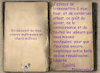 mon-ecole-25.jpg