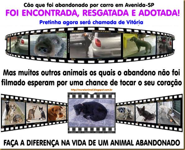 abandonados abandonados
