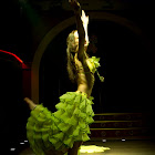 Document Name_3_227.JPG