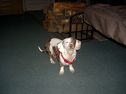 Walter Matthau
