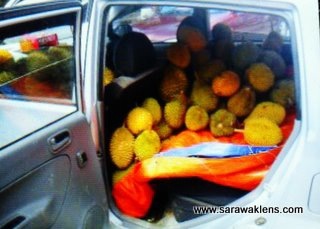 [durians_sarawak_market_7%255B9%255D.jpg]