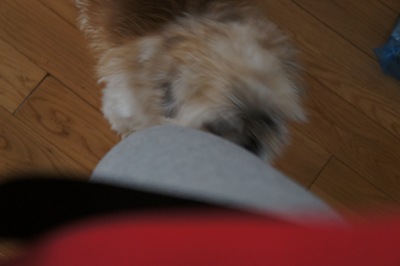 [DSC00655%255B2%255D.jpg]