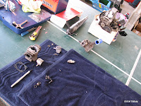 IMG_7991.jpg