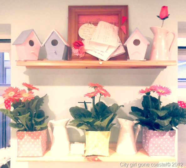 gerberas