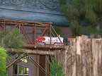 A model train at the Bellagio Conservatory and Botanical Garden.