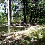 Thunder Swamp Trails - Pennel Run North Campsite Thunder Swamp Trails - Pennel Run North Campsite