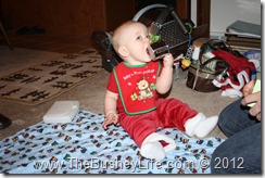 IMG_0633 IMG_0633