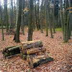 dsc00699.jpg