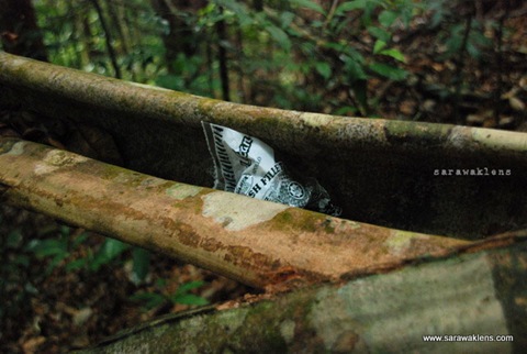 gunung_gading_summit_hike_23