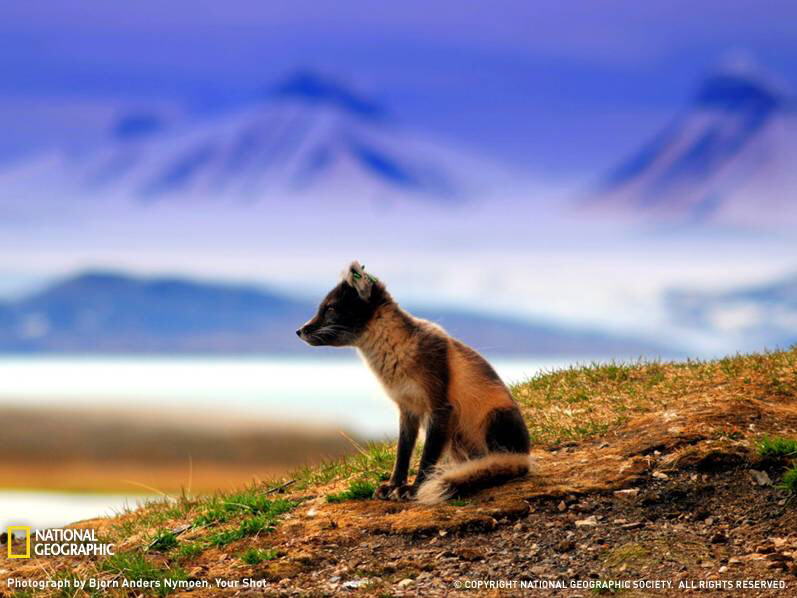 PHOTOS FROM NATIONAL GEOGRAPHIC
