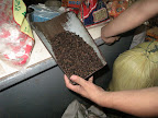 Spice Market