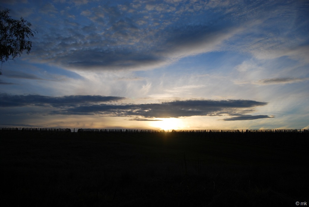 [DSC_03047.jpg]