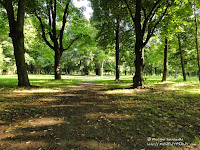 Cmentarz przy ul. Samotnej w Poznaniu