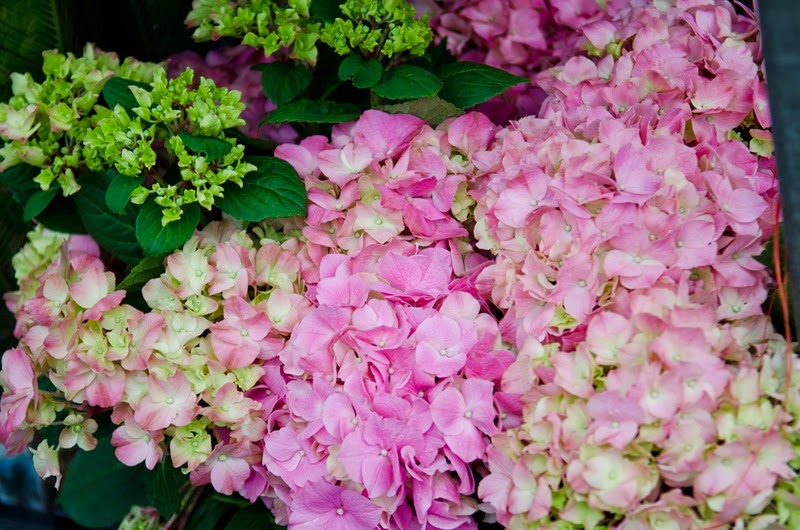 [A-day-in-Nice-553.jpg]