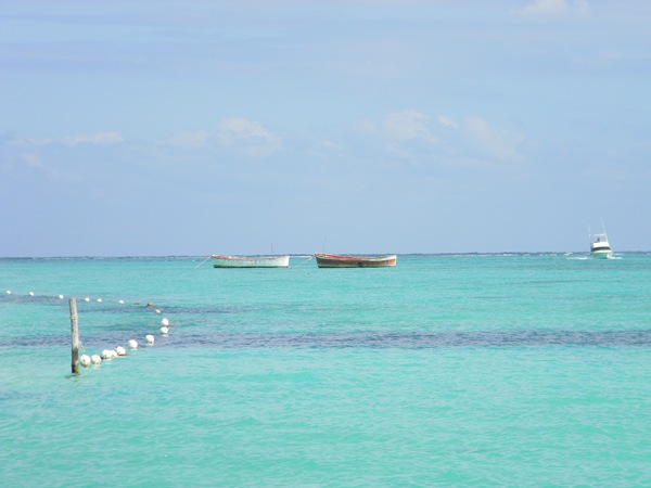 DSCN0314 DSCN0314