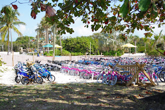 Lots of bikes to choose from!