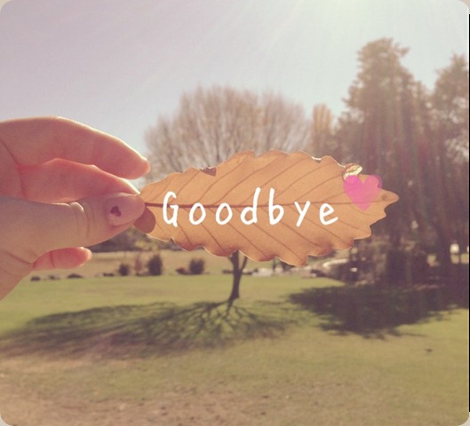 Goodbye Summer | bjvear