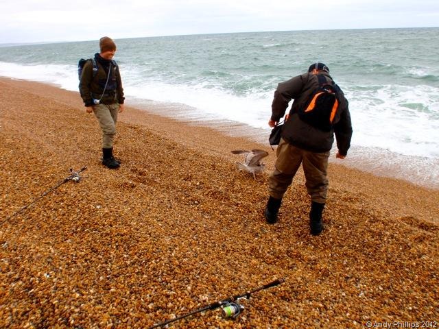 [Chesil%252030092012-1%255B8%255D.jpg]