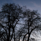 DSC_4877.JPG