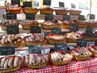 IMG_3906 IMG_3906