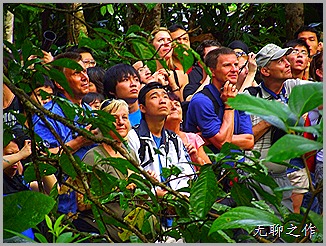 DSCF6729 DSCF6729