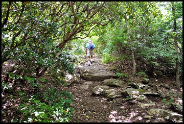 06e - Appalachian Trail climb up to summit