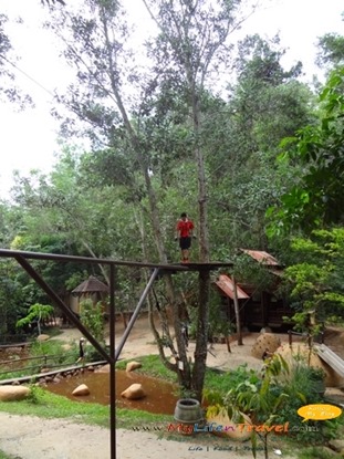 penang escape adventure penang escape adventure