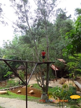 penang escape adventure