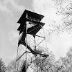 Fire / Observation Towers