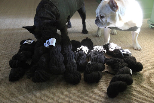 Here it is, Sharkey, in the craft room!  Look how many skeins of yarn were yielded after spinning!