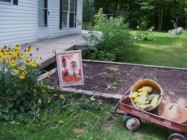 [basket%2520of%2520gourds%2520outside%255B3%255D.jpg]