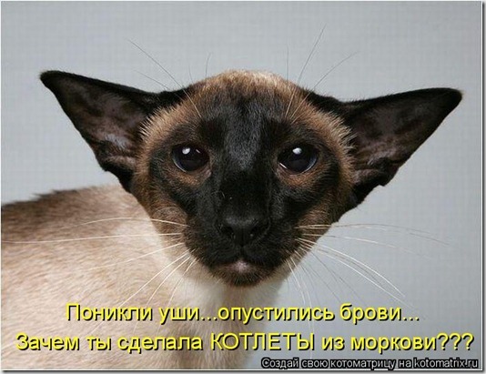 905019 905019