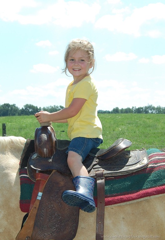 [horse4%255B7%255D.jpg]