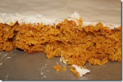 IMG_7205 IMG_7205