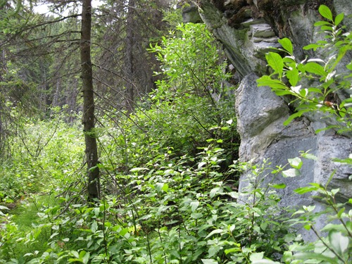 [IMG_0935%255B2%255D.jpg]