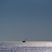 The Black Sea - May 1, 2010.