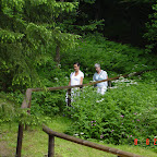 DSC02501.JPG