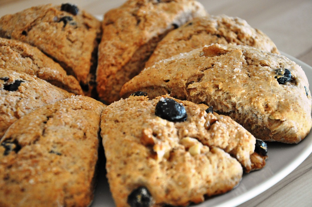 [DSC_1392%255B6%255D.jpg]