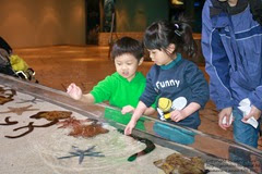 IMG_2995 IMG_2995