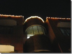 karthigai_2012_lights